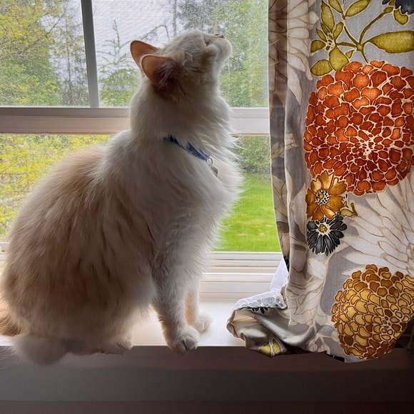 Meet your Posher, Marianne - Picture 1 of 1